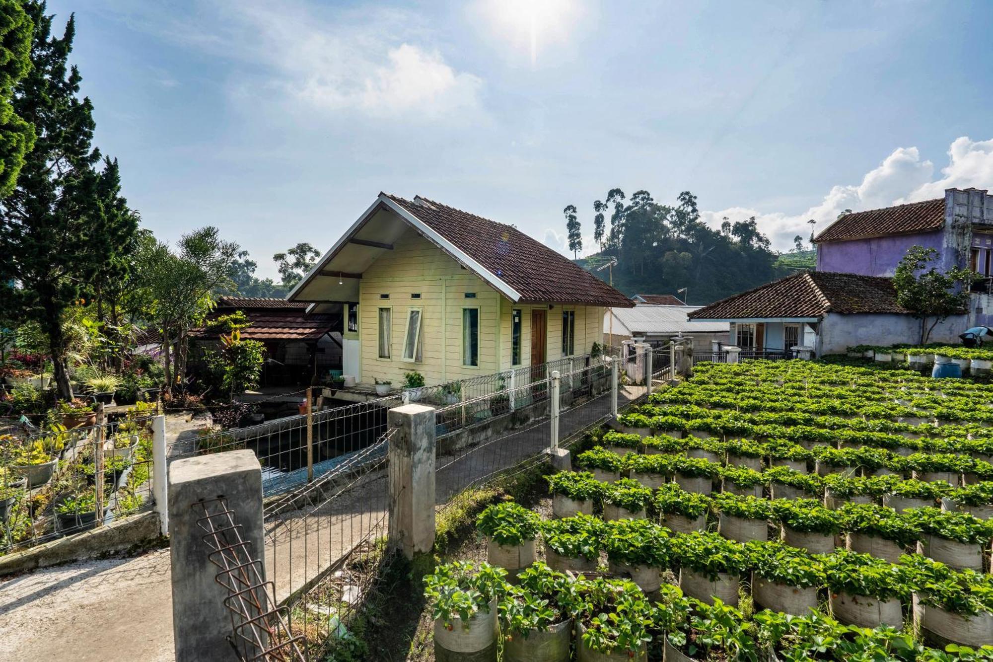 Kayu Ciwidey Villa *
