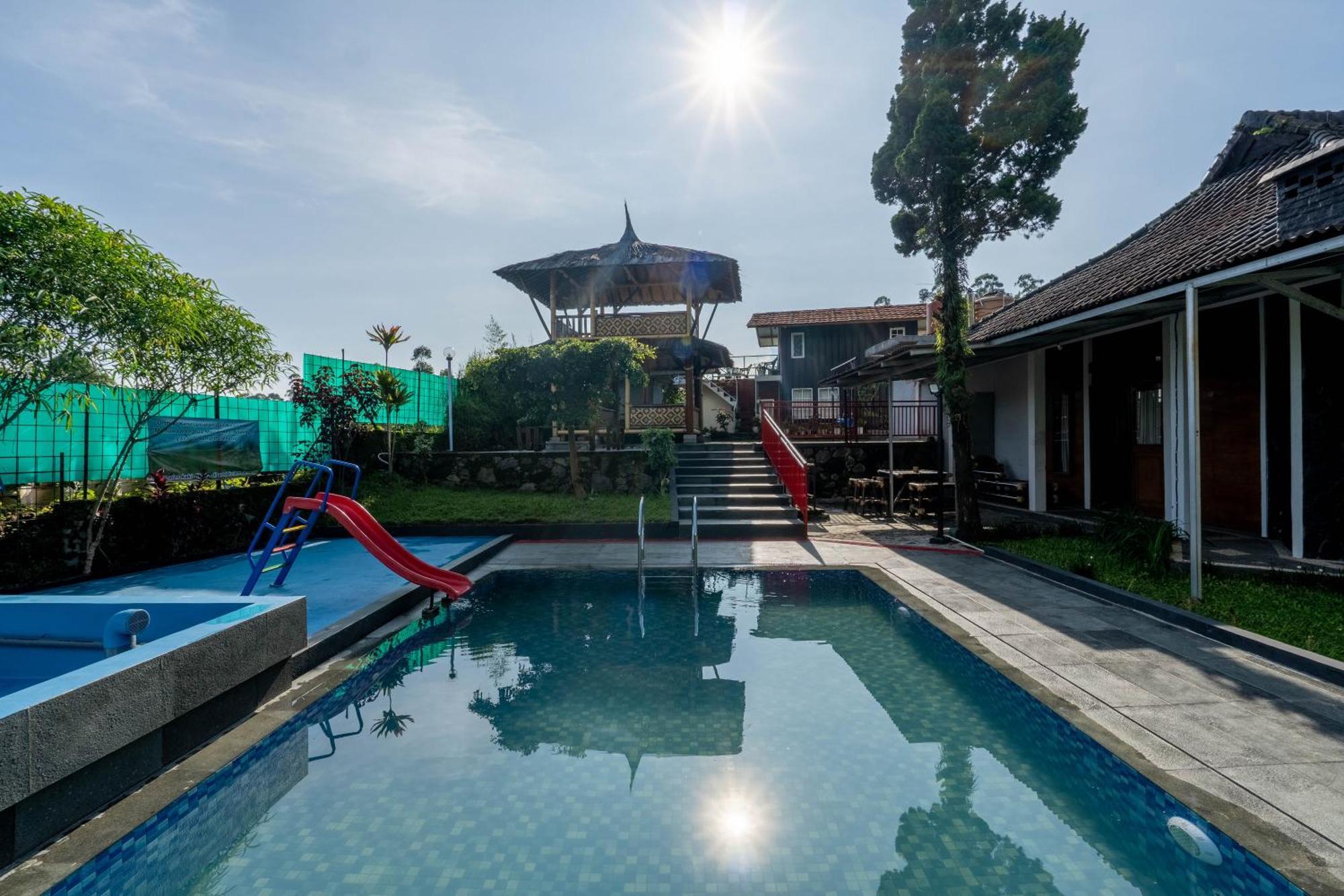 Kayu Ciwidey Bandung